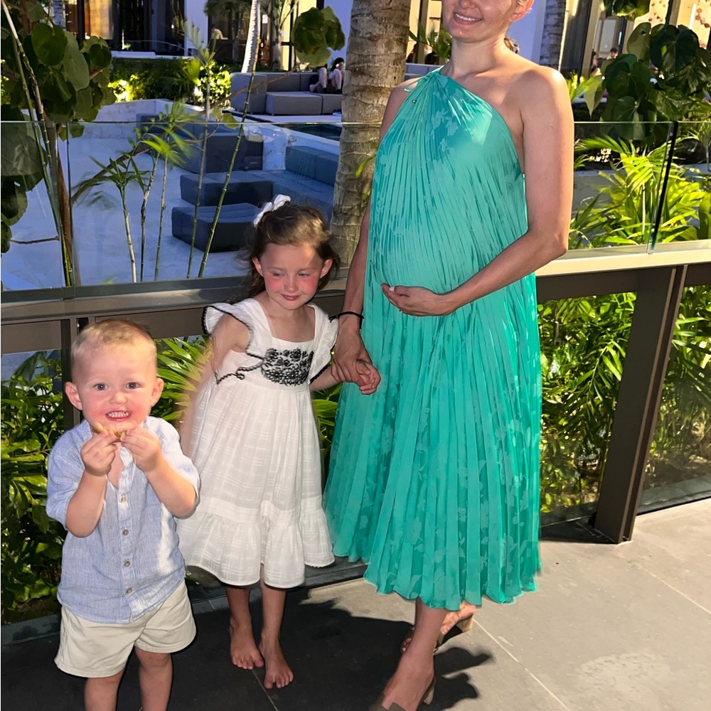 Banan republic pleated dress